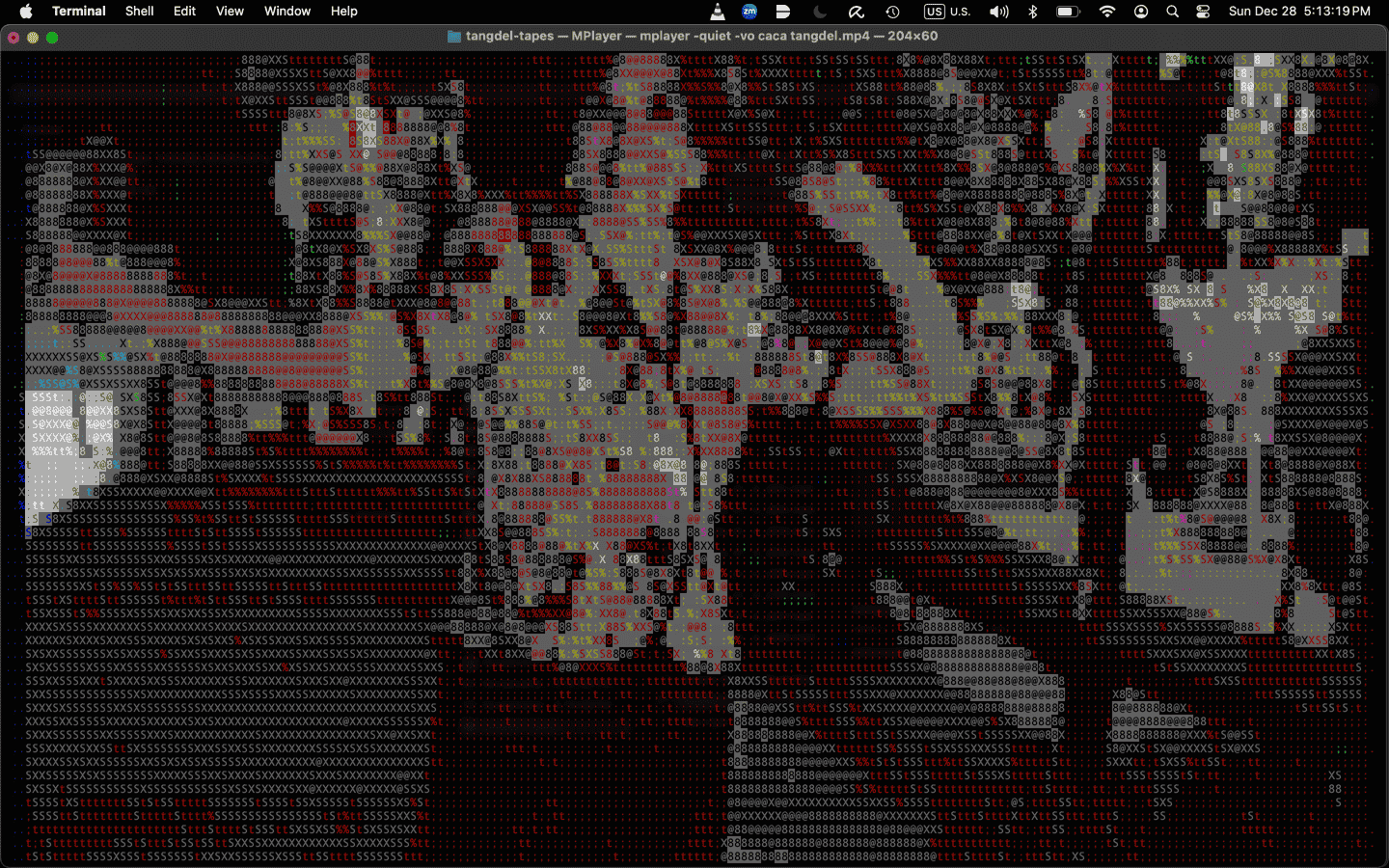 My grandmother dancing at my parents' wedding, captured on Video8, converted into ASCII characters with a compression algorithm