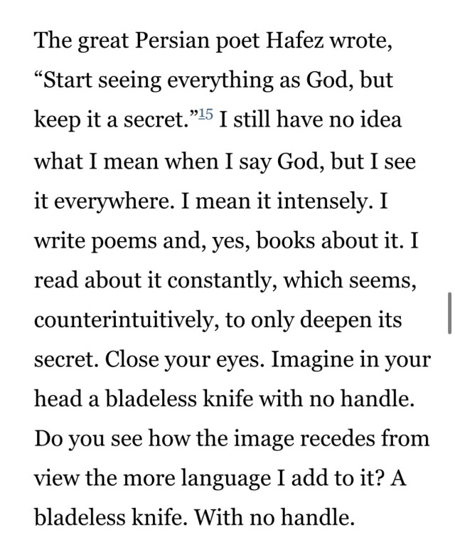 screenshot of a quote from Kaveh Akbar