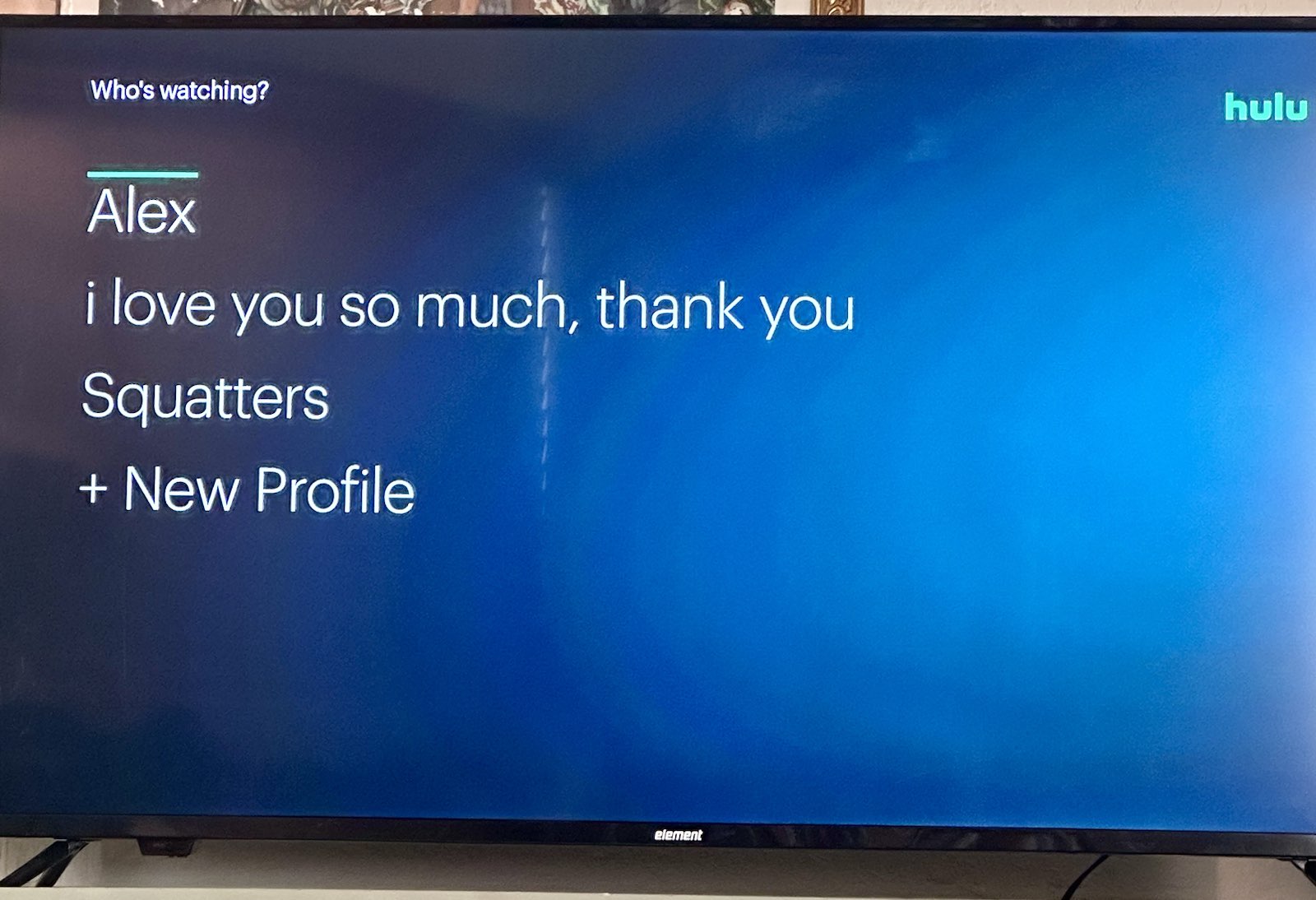 A television screen displaying a Hulu profile selection menu with the options: Alex, i love you so much, thank you, Squatters, and + New Profile.