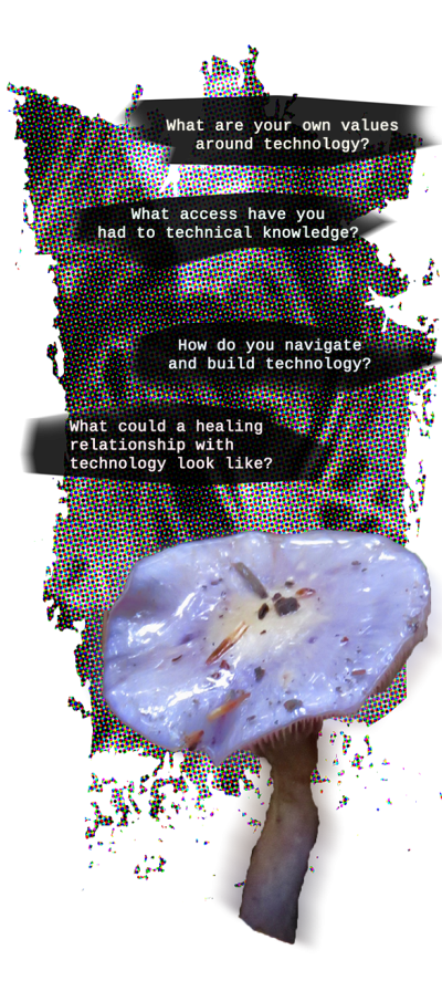 an image of a purple mushroom with four questions floating above it: what are your own values around technology? what access have you had to technical knowledge? how do you navigate and build technology? what could a healing relationsihp with technology look like?