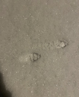 Two partial footprints in the snow.