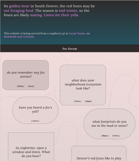 A website landing page for a "fox forum" with information about observing red foxes in South Denver, prompts for sharing fox stories, listening to fox yells, and descriptions of local ecosystems.