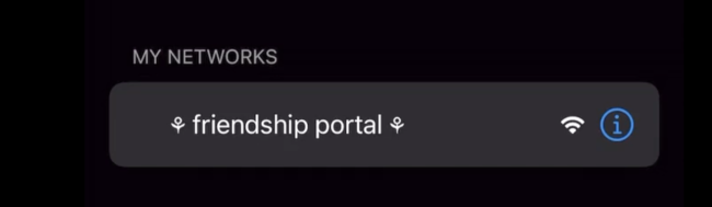 A Wi-Fi network named "friendship portal" is displayed under the "My Networks" section with connectivity and information icons on the right.