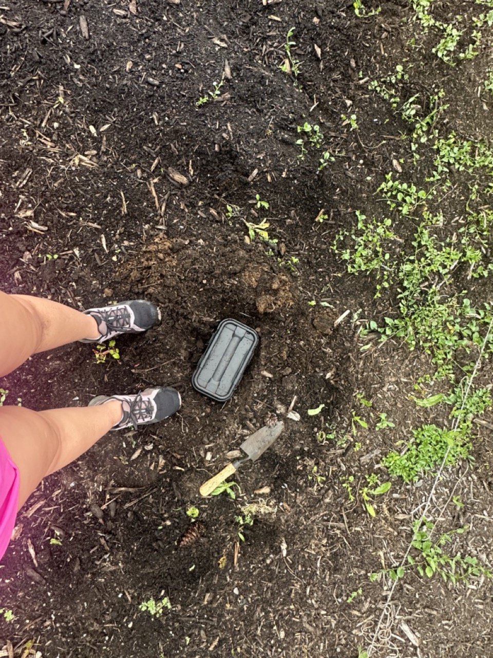 A person in pink shorts and sneakers stands near gardening tools and a small black container on soil with some green plants growing around.