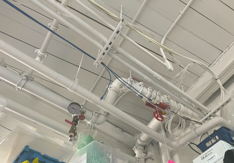 The image shows an arrangement of various pipes, wires, and valves attached to a ceiling, with some plastic containers and equipment visible below.