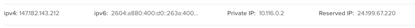 The image shows a list of different types of IP addresses: ipv4 (147.182.143.212), ipv6 (2604:a880:400:d0::263a:400...), Private IP (10.116.0.2), and Reserved IP (24.199.67.220).