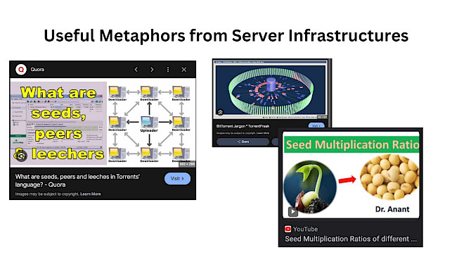 The image, titled "Useful Metaphors from Server Infrastructures," features visuals explaining torrent terminology (seeds, peers, leechers), a BitTorrent network diagram, and a YouTube thumbnail on seed multiplication ratios by Dr. Anant. These elements draw parallels between server infrastructure and broader concepts of sharing and growth.