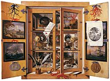 A wooden curiosity cabinet contains various historical artifacts, natural specimens, books, and art pieces, with more items displayed on the open doors.