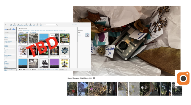 A collage showing a screenshot of an Airsonic audio library interface with a "TBD" label and a photo of a box containing leaves, twigs, and other natural items. Below the collage are a series of small images depicting various outdoor scenes labeled "Home / Coyoacan CDMX March 2024."