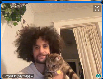 A person with curly hair is holding a tabby cat in a room with a white door and a hanging plant.