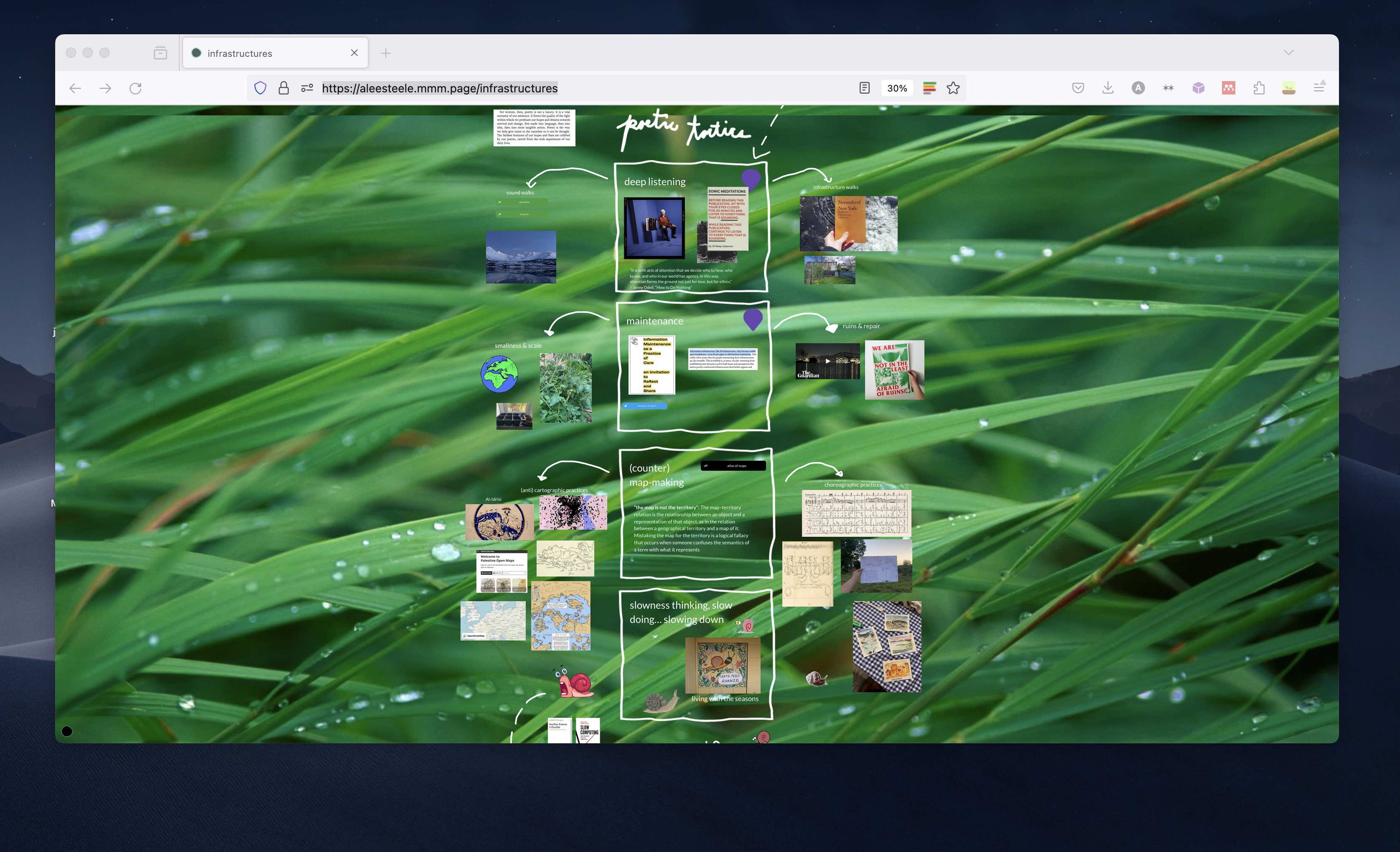 Alt: Screenshot of screen of window featuring the website with a grassy background. The page has four poetic tactics listed: deep listening, maintenance, (counter) mapping, and slowness.