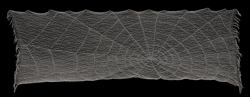 A large, intricate spider web is stretched out horizontally against a black background.