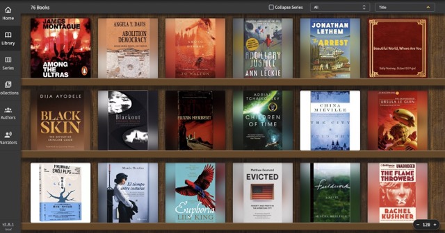 Audiobook library interface on media server